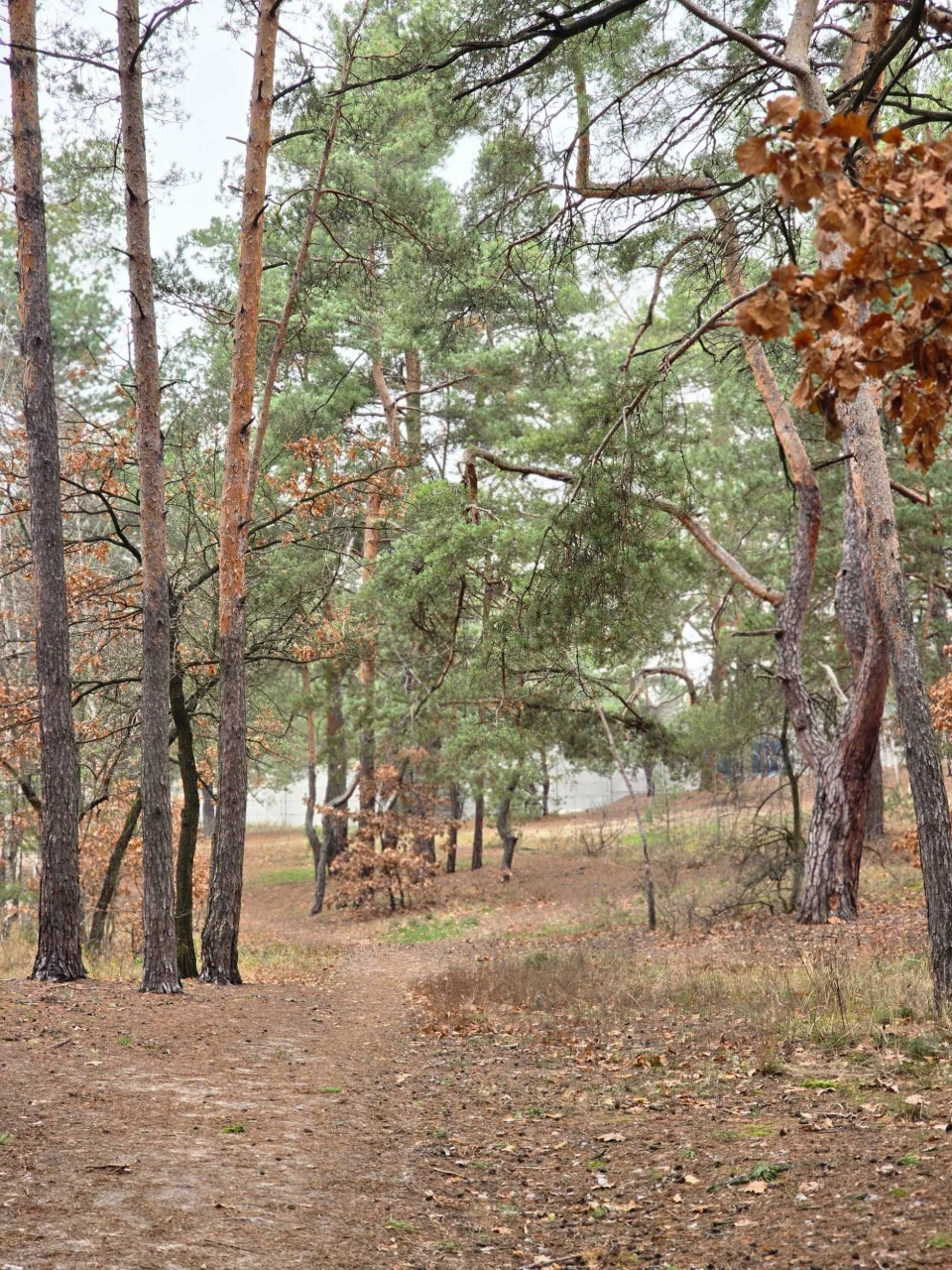 Ділянка 10 соток під будівництво. Комунікації поруч