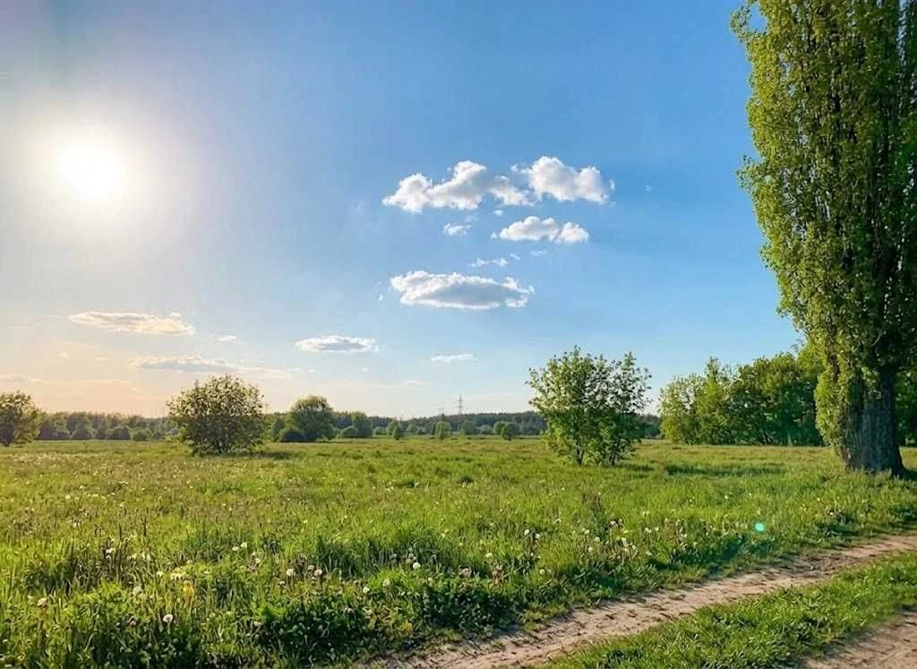 Продаж ділянки 164сот.Ірпінь.ОСГМожливість переводу під забу