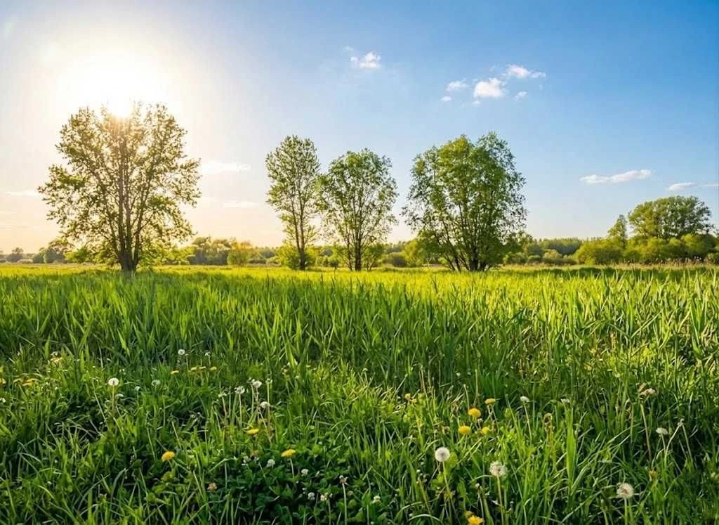 Продаж ділянки 164сот.Ірпінь.ОСГМожливість переводу під забу