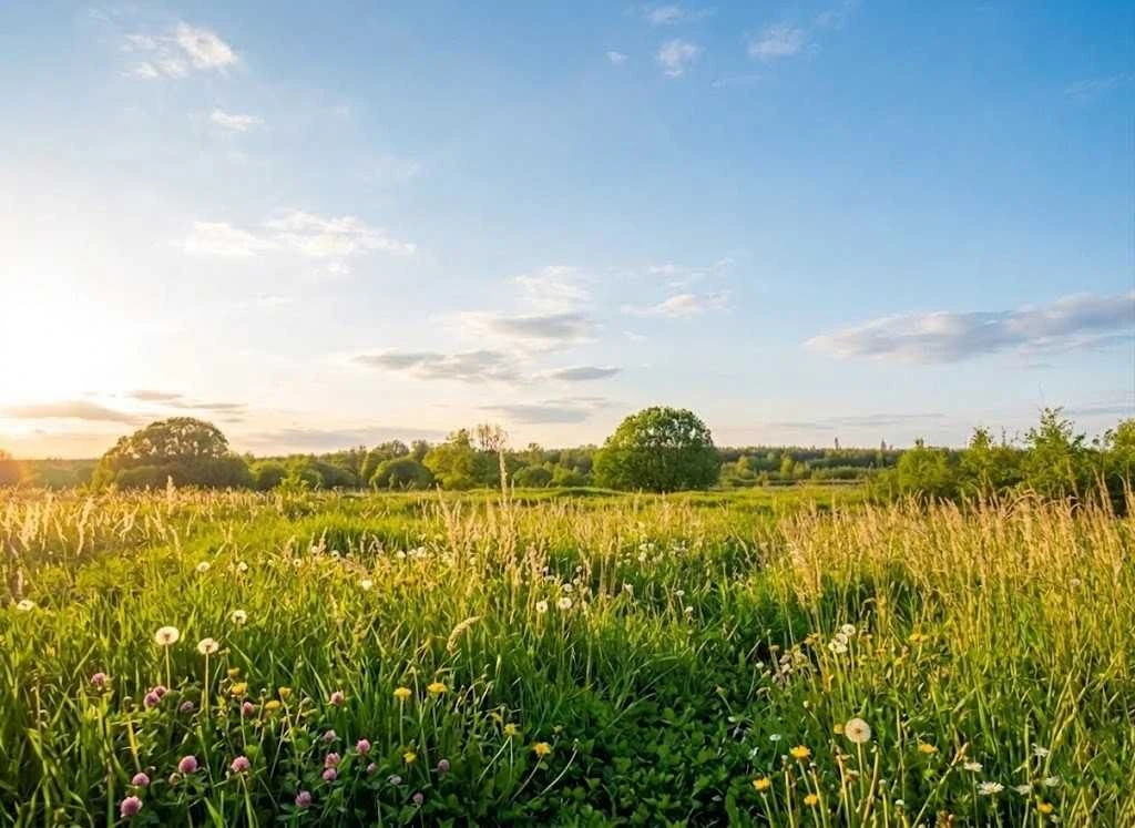 Продаж ділянки 164сот.Ірпінь.ОСГМожливість переводу під забу