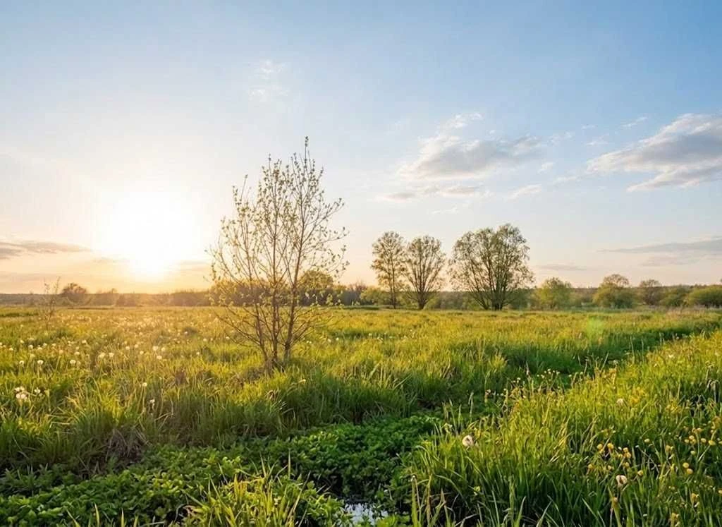 Продаж ділянки 164сот.Ірпінь.ОСГМожливість переводу під забу