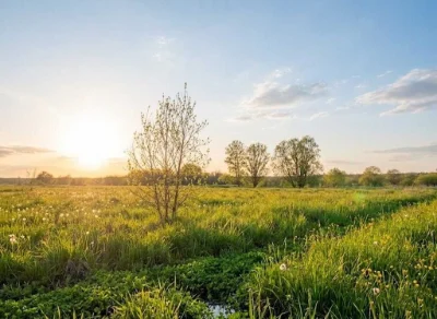 Продаж ділянки 164сот.Ірпінь.ОСГМожливість переводу під забу