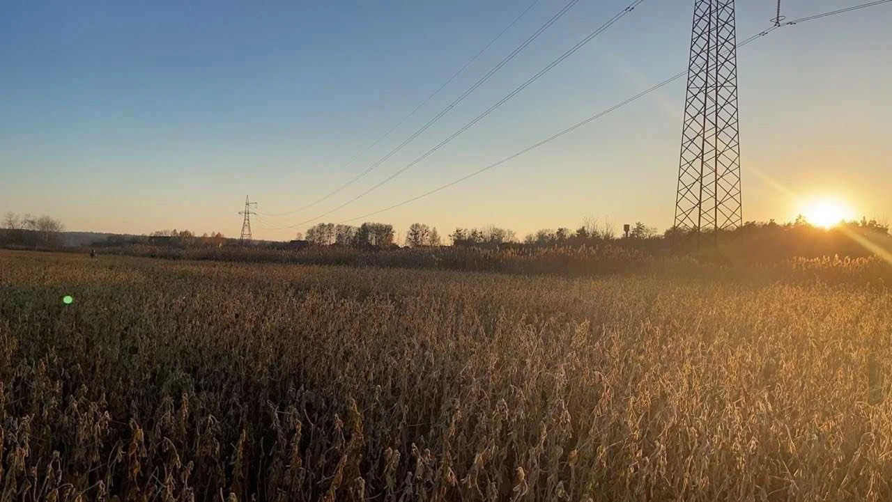 Ірпінь  в  районі Романівки - 4га., по 17 сот , 37 сот, 50 с