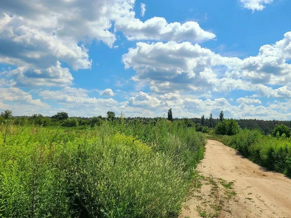 Земельна ділянка в Ірпені, 6.1 соток 6 лінія