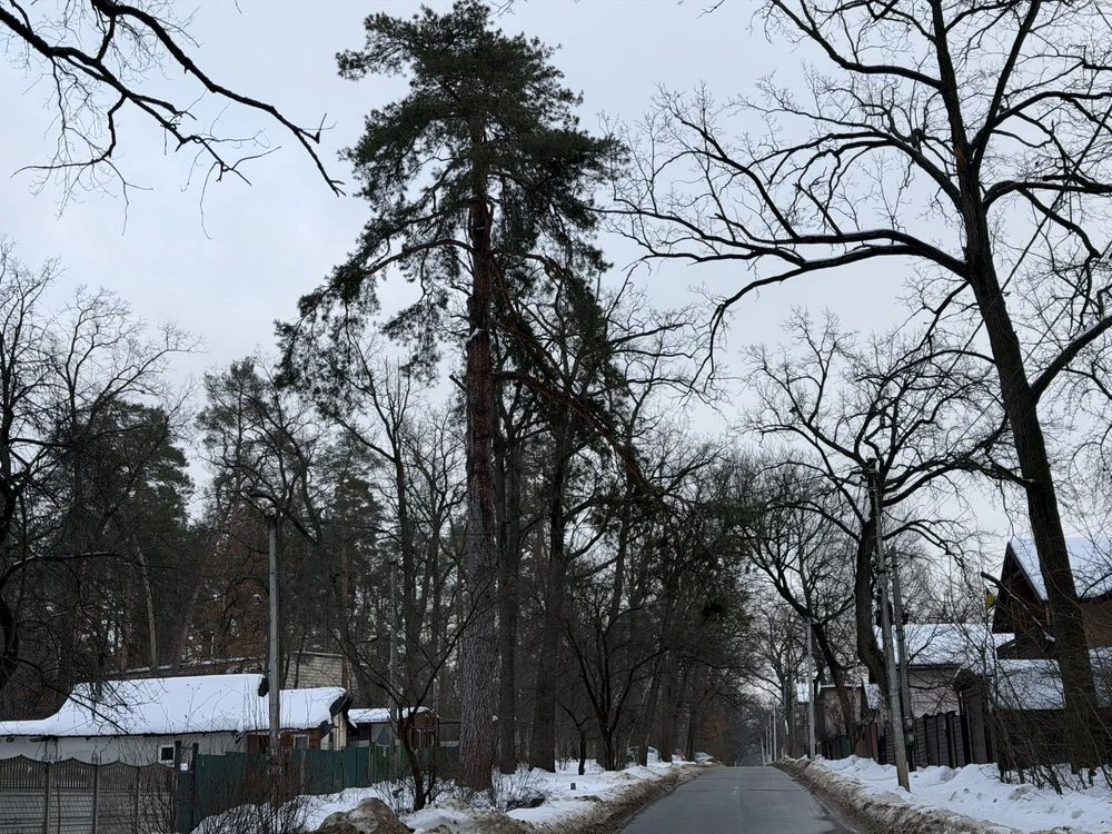 Продам. Ділянка 41сотка . Під будівництво. Вулиця давидчука