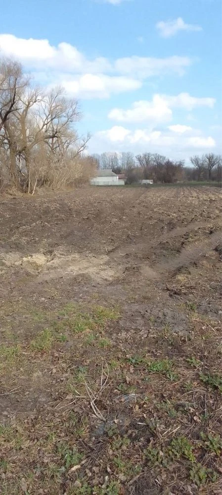 Продается земельна ділянка село Шпендівка