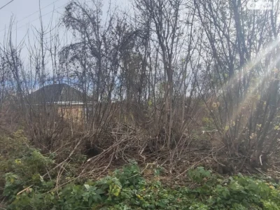 Продаж Ділянка під житлову забудову Кагарлик
