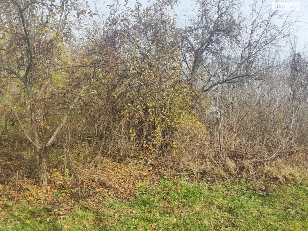 Продаж Ділянка під житлову забудову Кагарлик