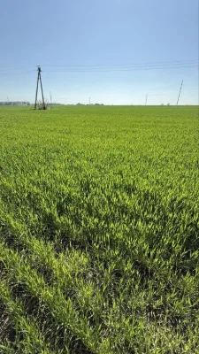 Продається Ексклюзивна Ділянка  3,6га м. Обухів траса Н-01
