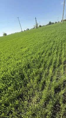 Продається Ексклюзивна Ділянка  3,6га м. Обухів траса Н-01
