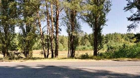 1,86 Га біля Обухова під забудову | Від власника, без комісі