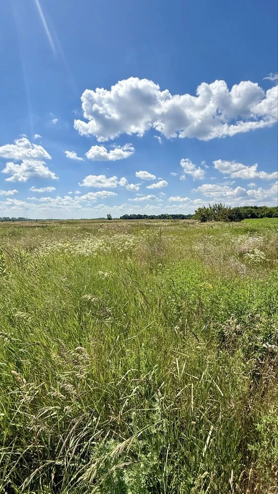 Продаж  земельного масиву 2га, м. Обухів «Польок».