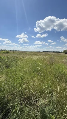 Продаж  земельного масиву 2га, м. Обухів «Польок».
