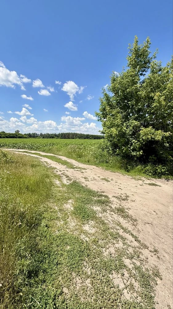 Продаж  земельного масиву 2га, м. Обухів «Польок».
