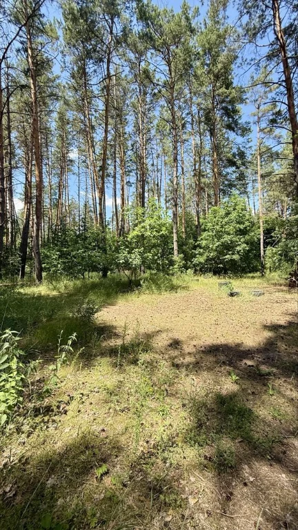 Продаж  Сосновий Ліс,  Ділянка  2+ га ,  м. Обухів 4 км.