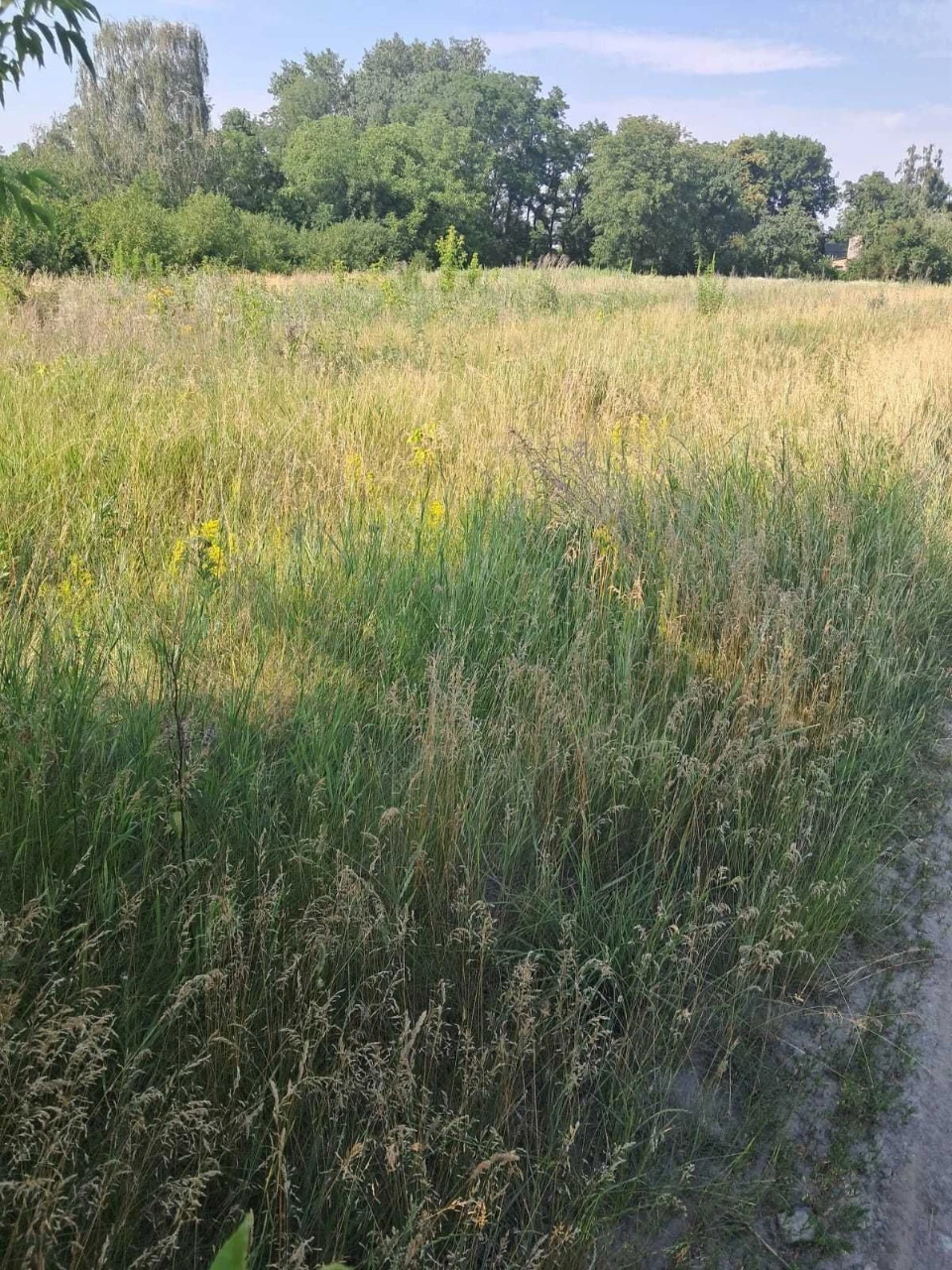 (ТЕРМІНОВО) Продаж ділянки під житлову забудову, 10 соток, О