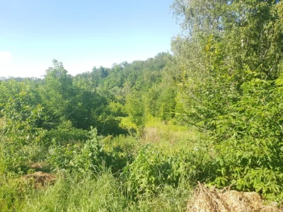 Обухів 50 соток під забудову