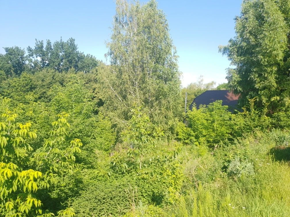 Обухів 50 соток під забудову