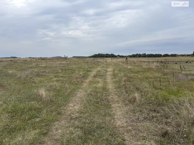 Продаж Земля сільськогосподарського призначення Обухів