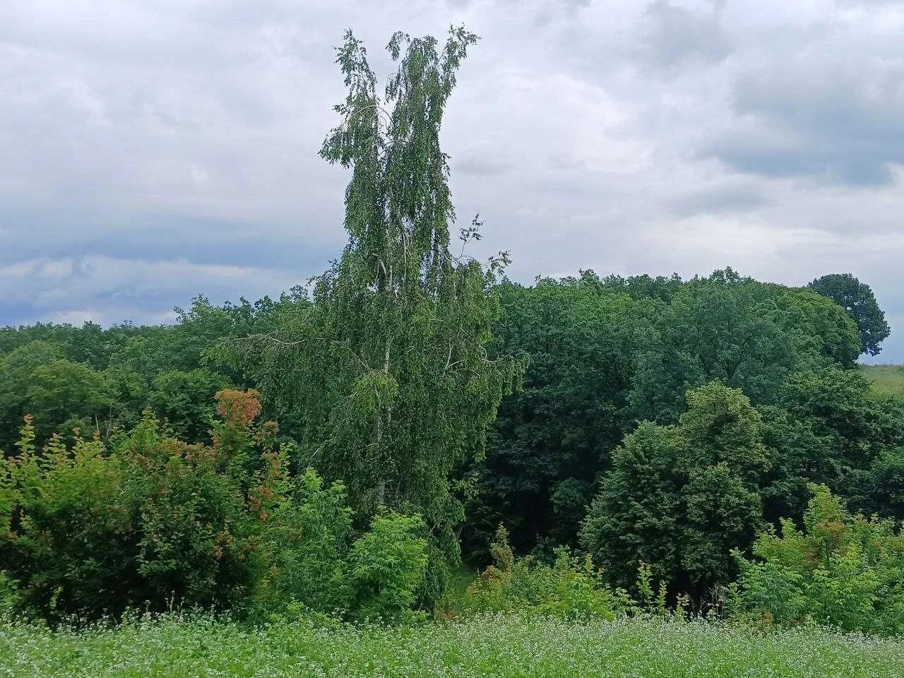 Продам ділянку з гарним краєвидом по вул. Гайдамацька, м. Об