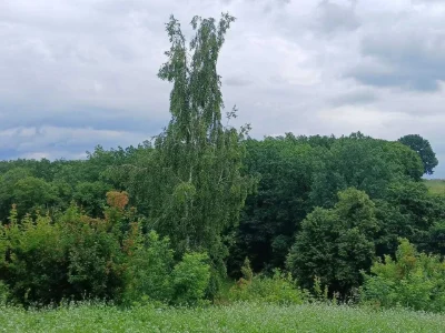 Продам ділянку з гарним краєвидом по вул. Гайдамацька, м. Об
