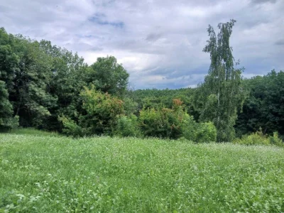 Продам ділянку з гарним краєвидом по вул. Гайдамацька, м. Об
