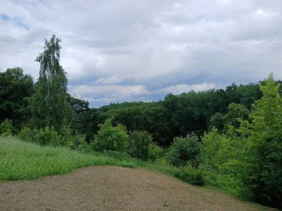 Продам ділянку з гарним краєвидом по вул. Гайдамацька, м. Об