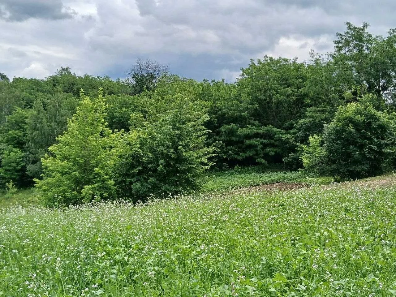 Продам ділянку з гарним краєвидом по вул. Гайдамацька, м. Об