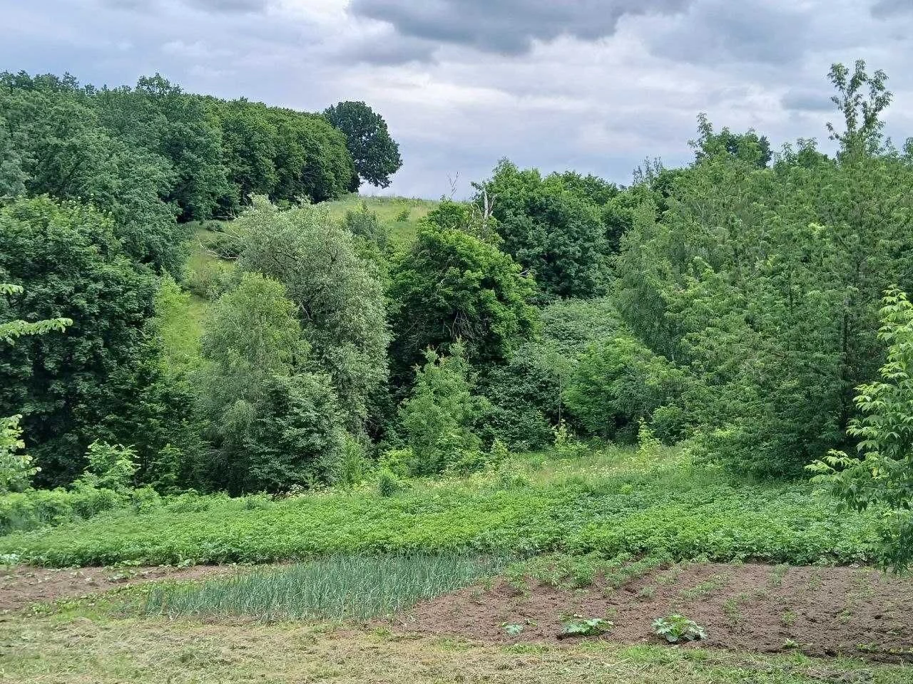 Продам ділянку з гарним краєвидом по вул. Гайдамацька, м. Об