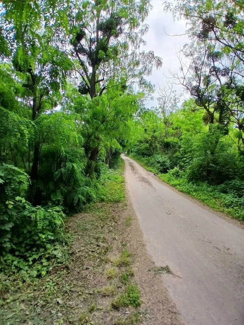 Продам ділянку з гарним краєвидом по вул. Гайдамацька, м. Об