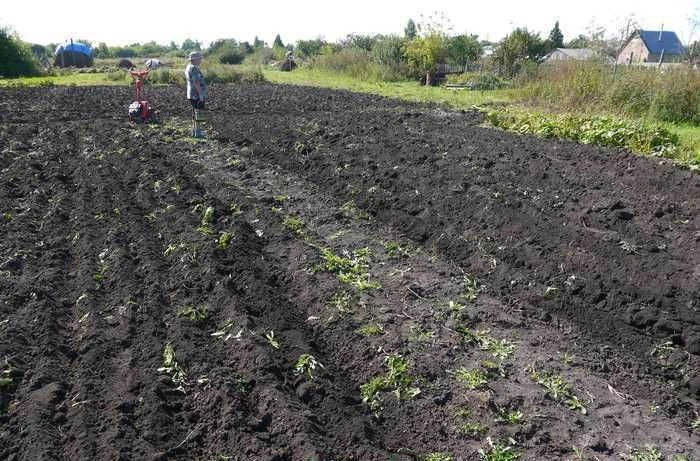 продам участок землі 6.8 сотки Дзюбівка Молодіжна Обухів