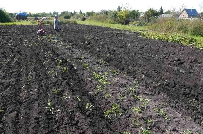 продам участок землі 6.8 сотки Дзюбівка Молодіжна Обухів