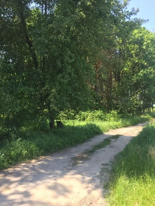 Обухів ж/м Стожари