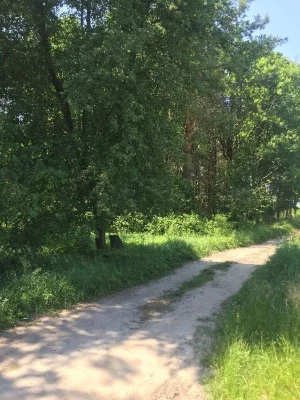 Обухів ж/м Стожари
