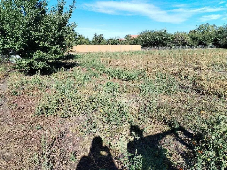 Ділянка в Фастові рн. Снігурівка