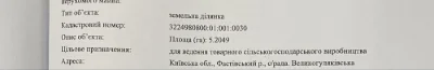 Пай земля в Київській обл