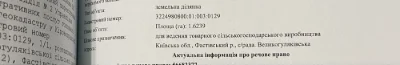 Пай земля в Київській обл