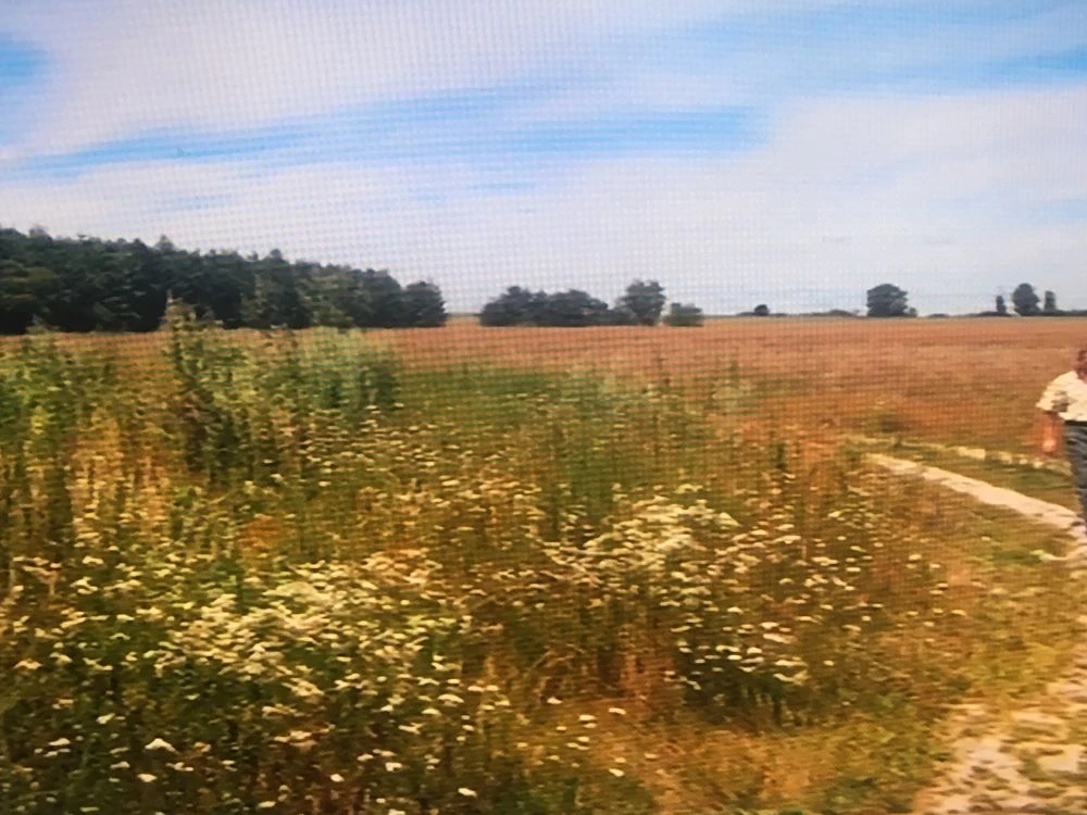 Продам участок земли 18. соток