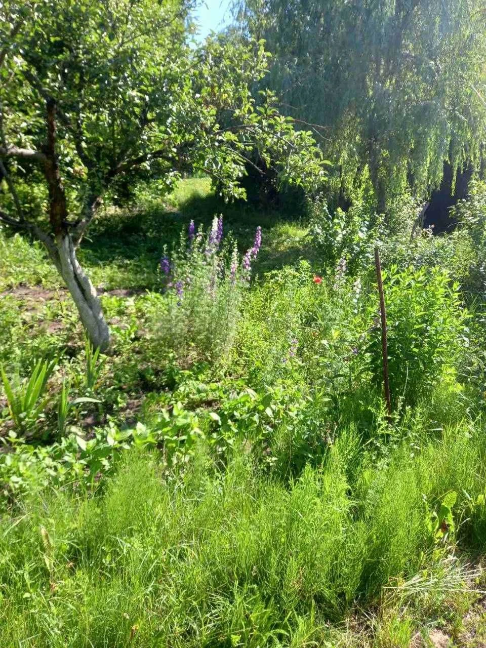 Продається удачний участок від Києва 60 км, ст. Сорочий Брід