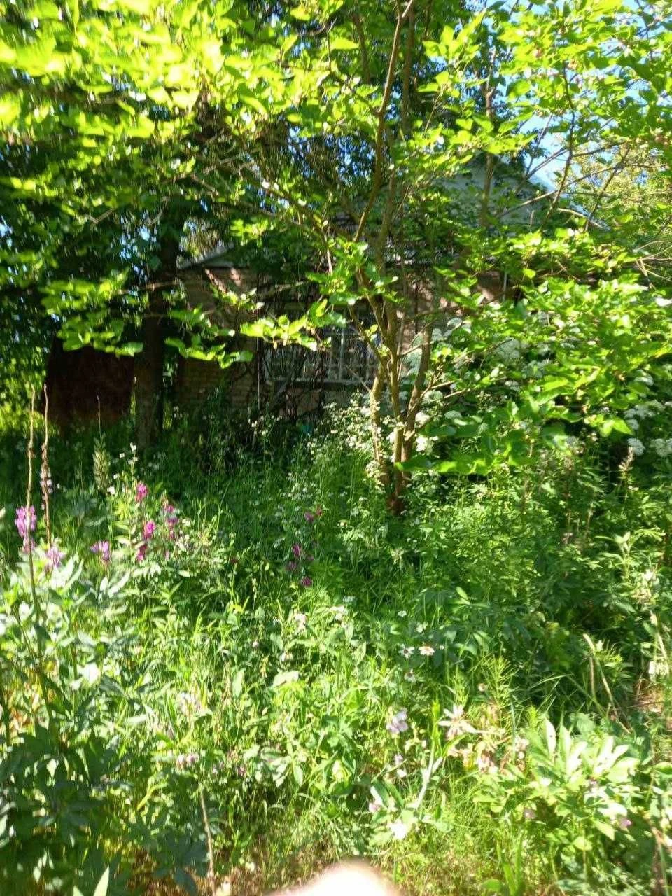 Продається удачний участок від Києва 60 км, ст. Сорочий Брід