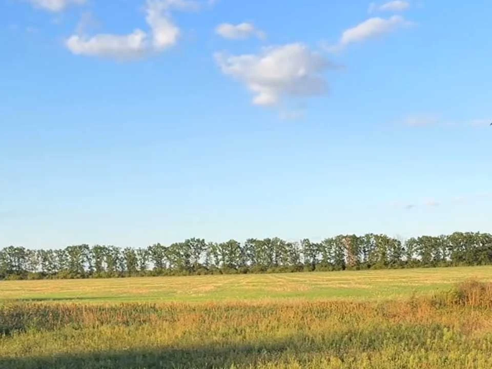 Ділянка. Гайворон, Івана Франка