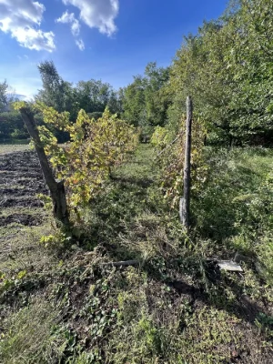 Дача / земельна ділянка в дачному кооперативі на меблевій фа
