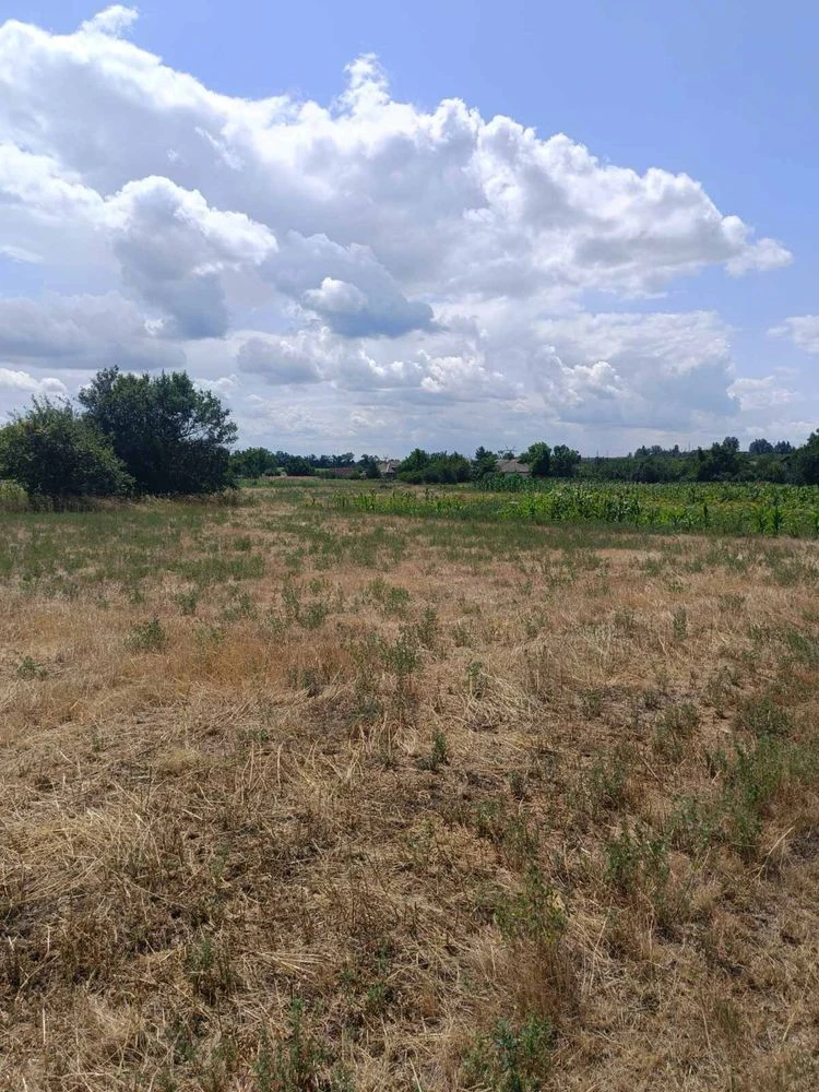 Продам дві земельні ділянки (Куколівське шосе)