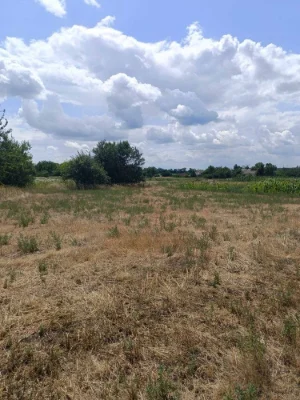 Продам дві земельні ділянки (Куколівське шосе)