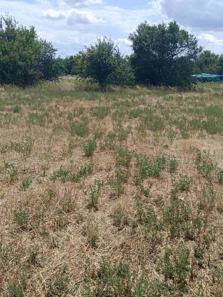 Продам дві земельні ділянки (Куколівське шосе)