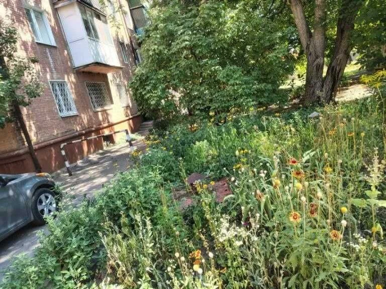 Продам погреб Александрия