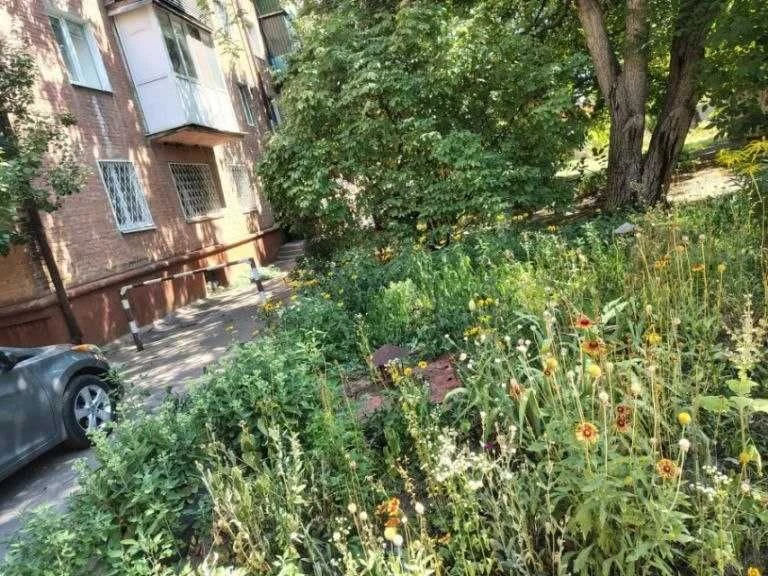 Продам погреб Александрия