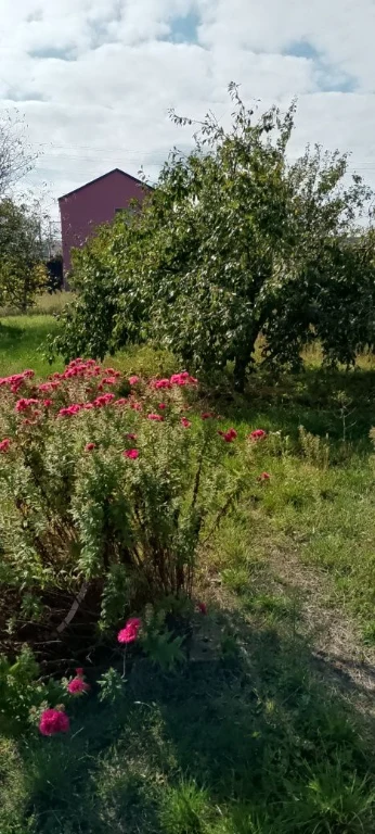 Продам дачный участок