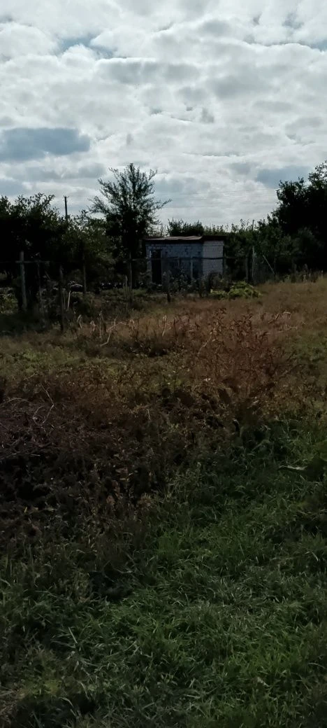 Продам дачный участок