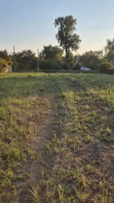 Участок Поле чудес